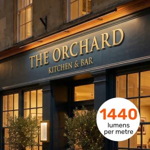 High Bright LED Trough Light