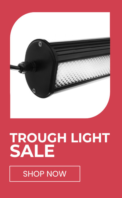 Trough Light Sale Ad