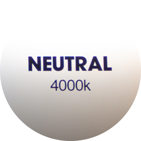 neutral_light.png