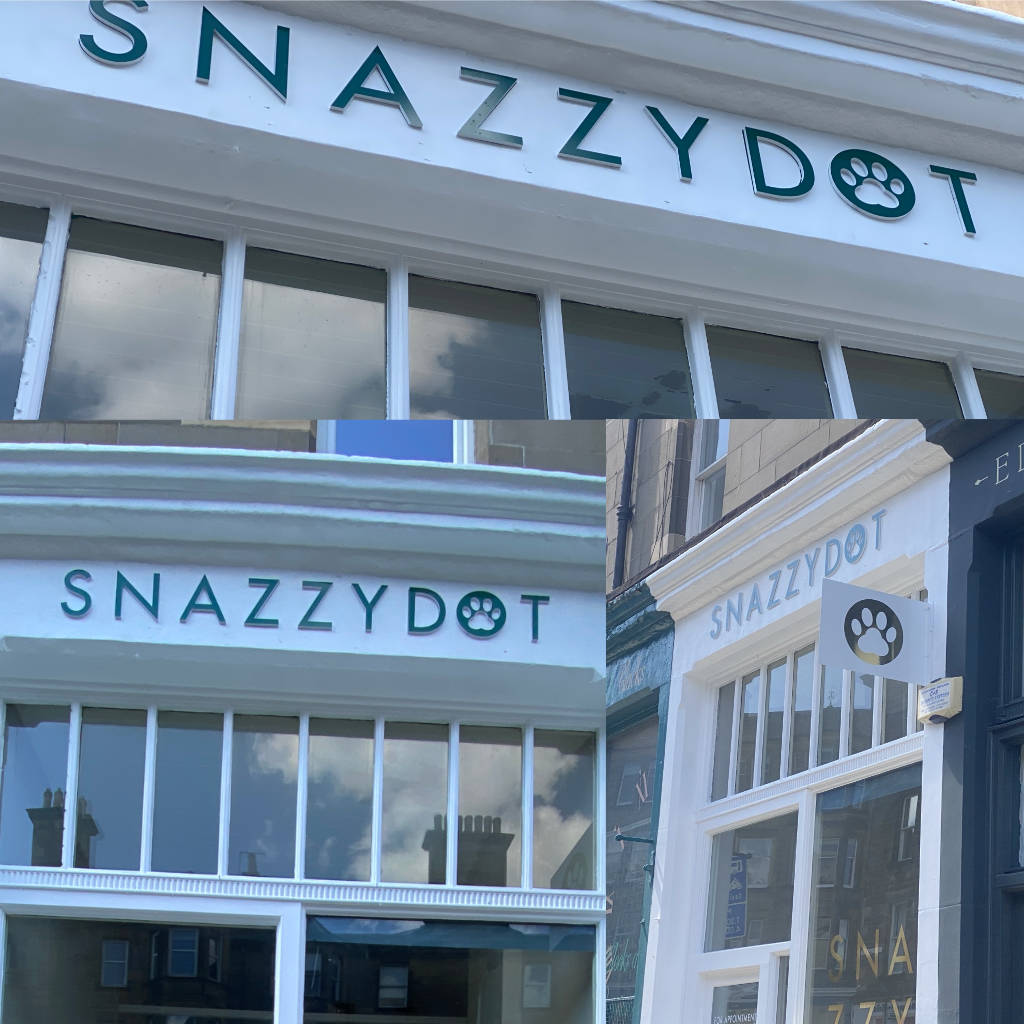 snazzydot_lettering.jpg