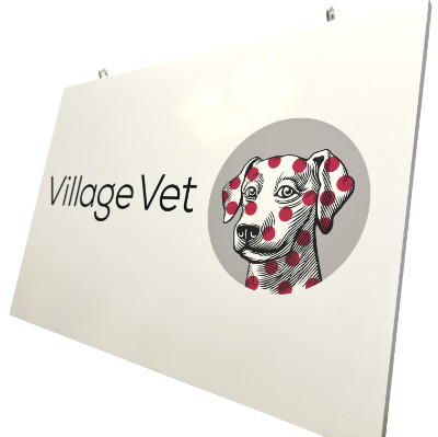 village_vet.jpg